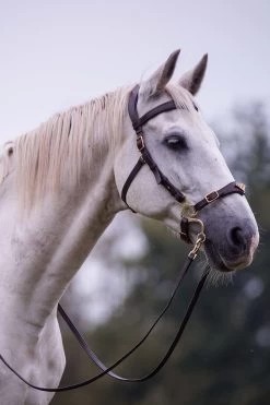 F.R.A. Imperial Hackamore Zaum -Pferdebedarf Discounter 340176 BR 2