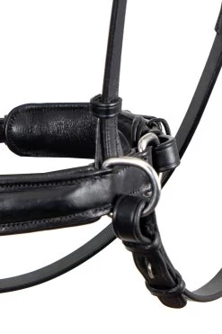 F.R.A. Alizée Mistral Gebissloser Zaum -Pferdebedarf Discounter 340183 BL BL 3