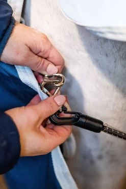 Horseware AmEco Liner, 100g -Pferdebedarf Discounter 340947 TE G 7