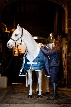 Horseware Eco Liner, 300g -Pferdebedarf Discounter 340949 TE G 3