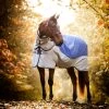 Horseware Rambo Autumn Series