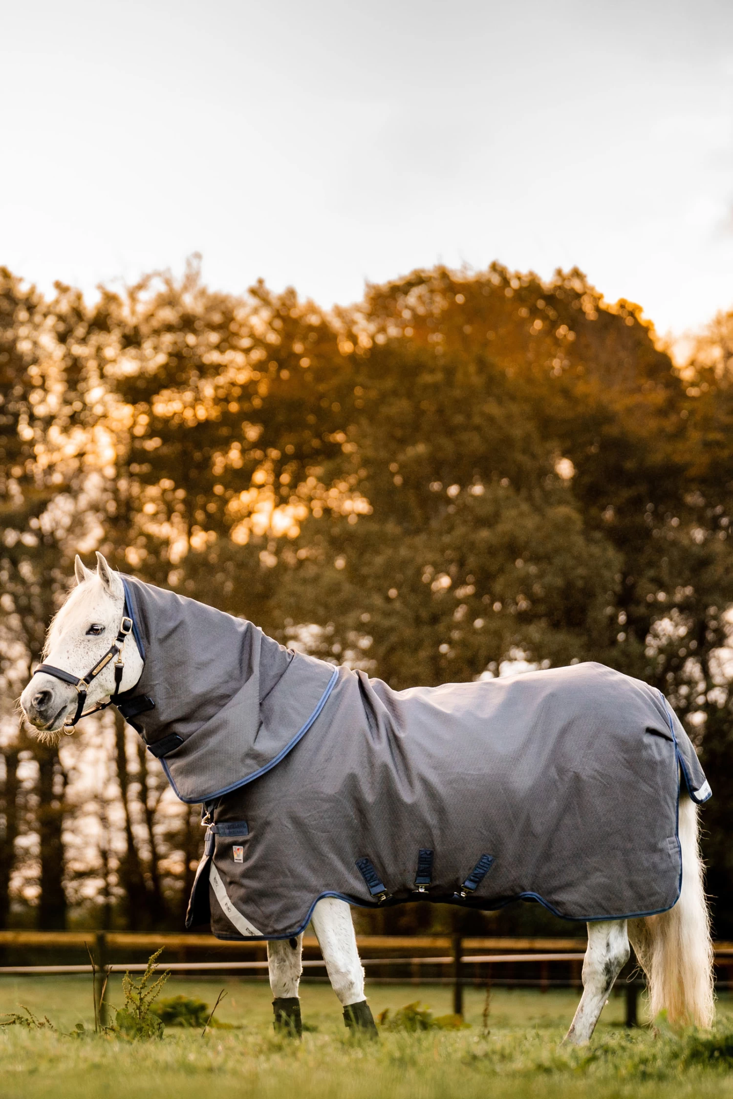 Horseware Rhino Hexstop Vari-Layer Weidedecke, 250g 1 Horseware Rhino Hexstop Vari-Layer Weidedecke, 250g