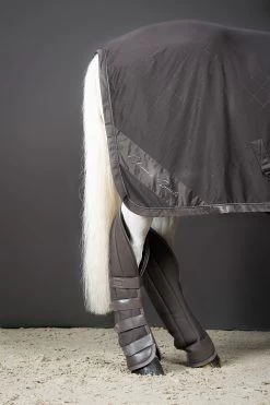 Eskadron Classic Sports FS22 Aerial Jersey Abschwitzdecke 8 Eskadron Classic Sports FS22 Aerial Jersey Abschwitzdecke -Pferdebedarf Discounter 341070 FSBR 3