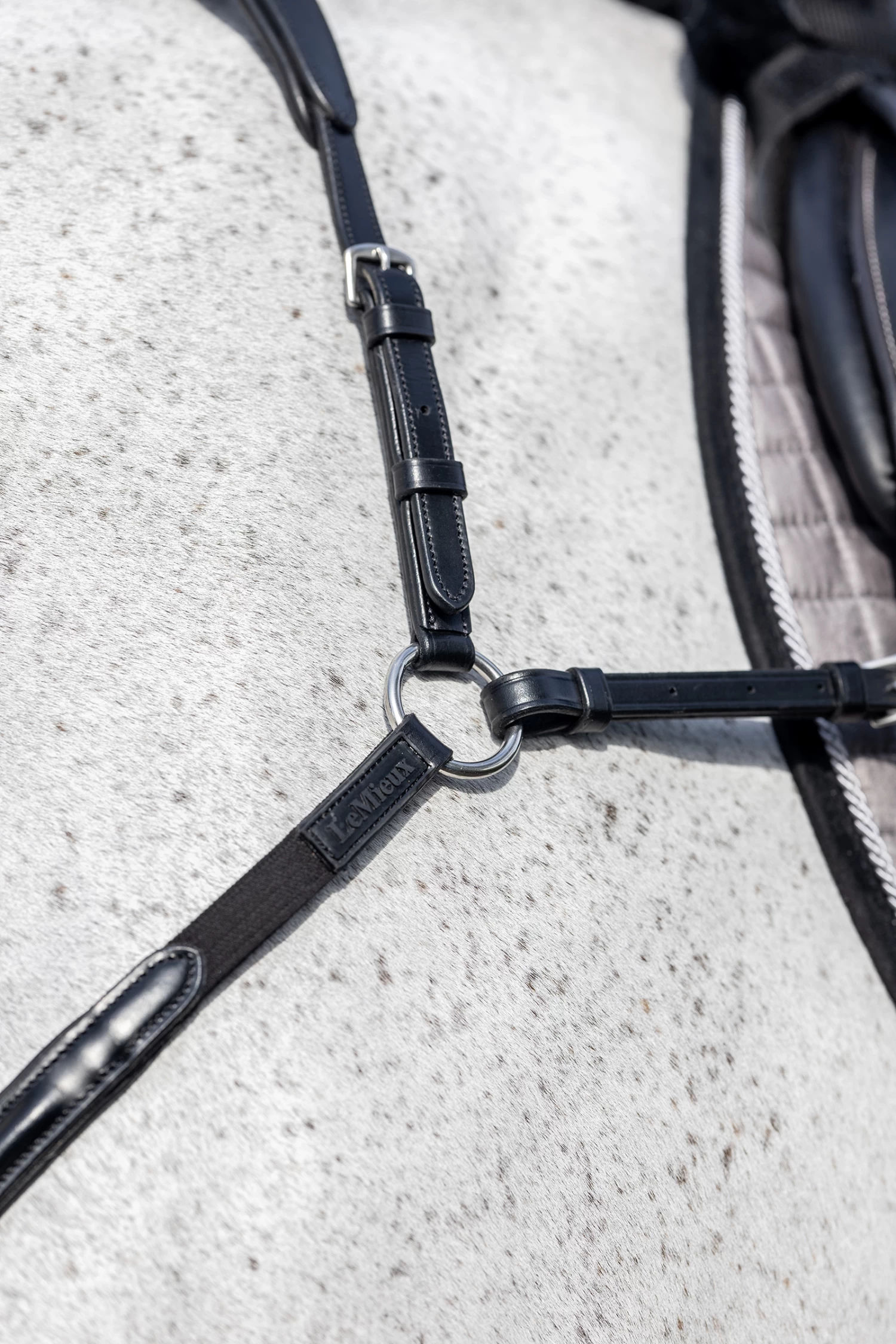 LeMieux Vorderzeug Mit Abnehmbarem Martingal 3 LeMieux Vorderzeug Mit Abnehmbarem Martingal – Bild 3