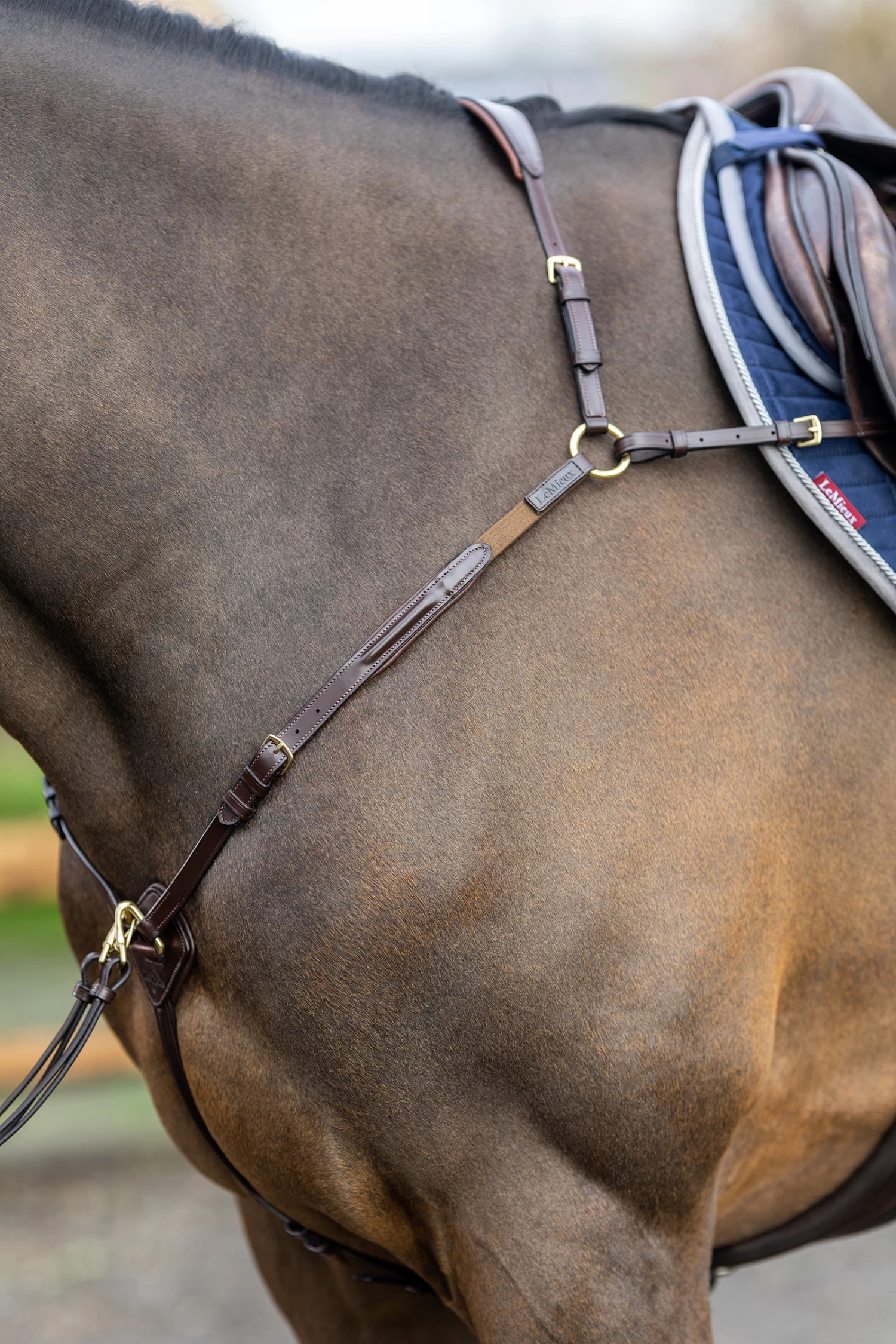 LeMieux Vorderzeug Mit Abnehmbarem Martingal 7 LeMieux Vorderzeug Mit Abnehmbarem Martingal – Bild 7