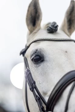 LeMieux Classic Dressurtrense -Pferdebedarf Discounter 342209 HVBR 4