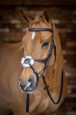 LeMieux Mexikanische Trense -Pferdebedarf Discounter 342214 HVBR 1