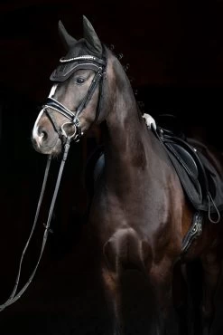 Eskadron Essence 22/23 Glitter Mesh Sport Fliegenhaube -Pferdebedarf Discounter 342557 DOGR 2