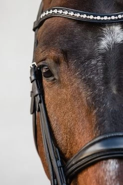 Schockemöhle Milton Anatomische Kandare -Pferdebedarf Discounter 343547 BL SI 3