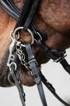 Schockemöhle Milton Anatomische Kandare -Pferdebedarf Discounter 343547 BL SI 4