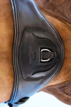 Schockemöhle Pittsburgh Stretch Kurzgurt -Pferdebedarf Discounter 343554 BL SI 3