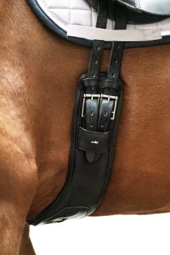 Schockemöhle Pittsburgh Stretch Kurzgurt -Pferdebedarf Discounter 343554 BL SI 4