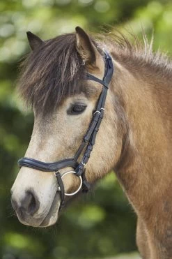 Waldhausen Anatomic Island Trensenzaum -Pferdebedarf Discounter 343984 BL 3