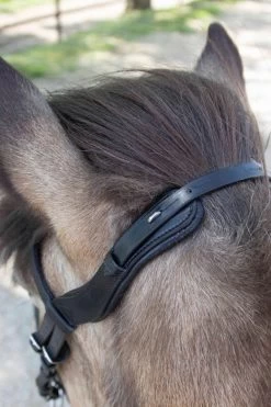 Waldhausen Anatomic Island Trensenzaum -Pferdebedarf Discounter 343984 BL 4