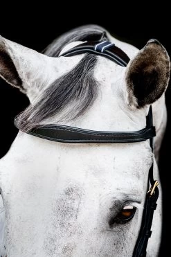 Horseware Rambo Micklem 2 Multi Trense -Pferdebedarf Discounter 345014 BL 03