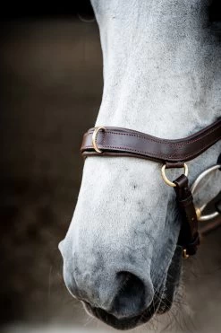 Horseware Rambo Micklem 2 Multi Trense -Pferdebedarf Discounter 345014 DBR 04