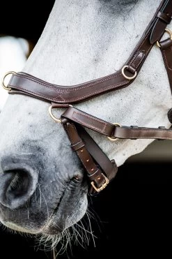 Horseware Rambo Micklem 2 Multi Trense -Pferdebedarf Discounter 345014 DBR 05