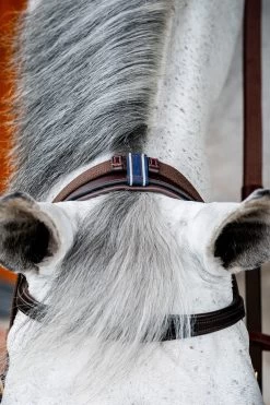 Horseware Rambo Micklem 2 Multi Trense -Pferdebedarf Discounter 345014 DBR 06