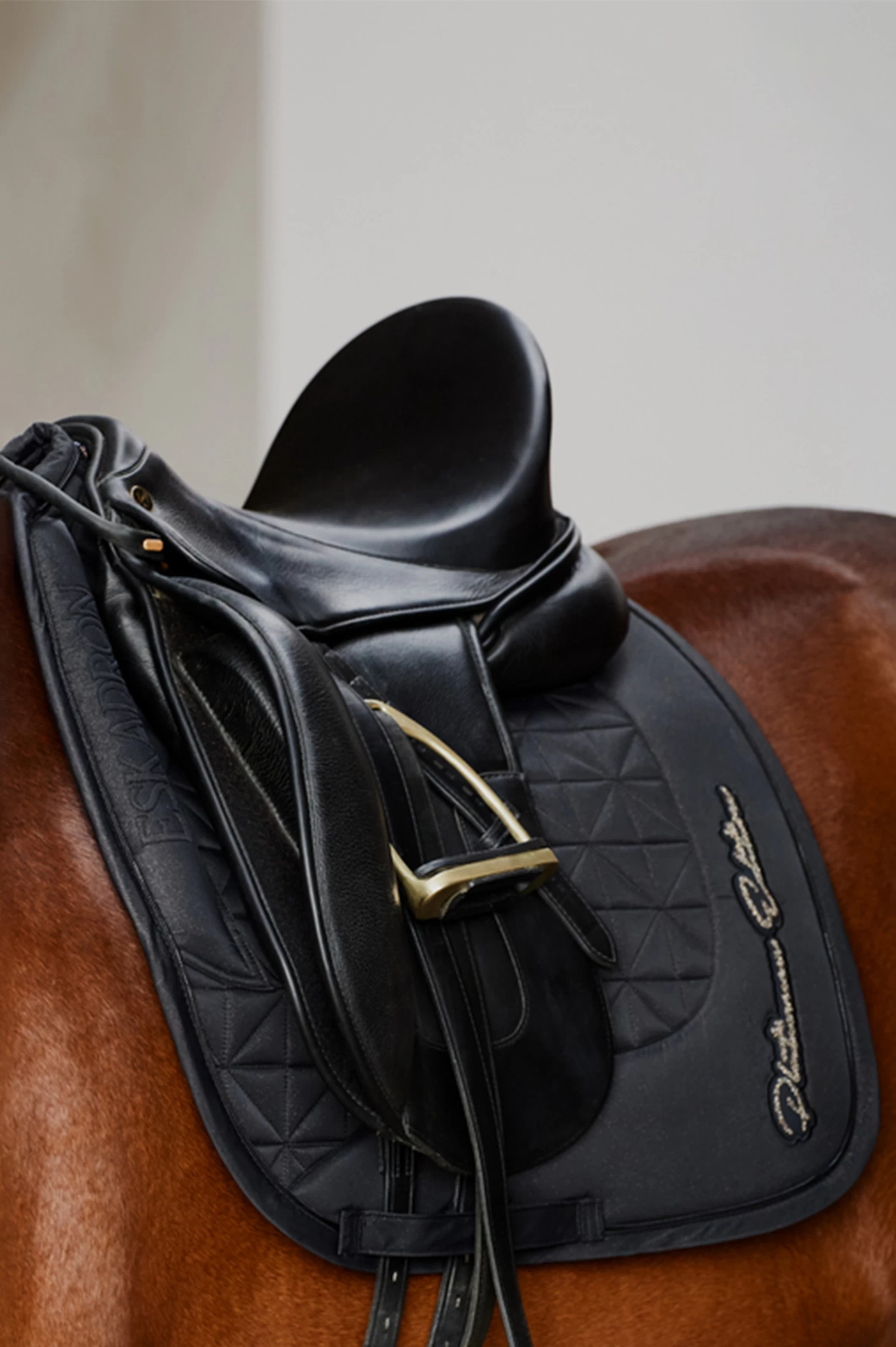 Eskadron Platinum 23 Sparkle Avantgarde Dressurschabracke 2 Eskadron Platinum 23 Sparkle Avantgarde Dressurschabracke – Bild 2