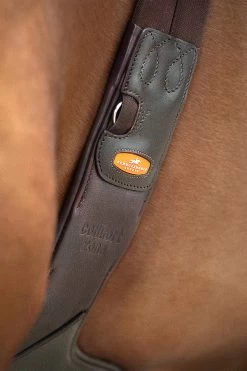 Schockemöhle Oklahoma Stollengurt -Pferdebedarf Discounter WPWG0 790 05