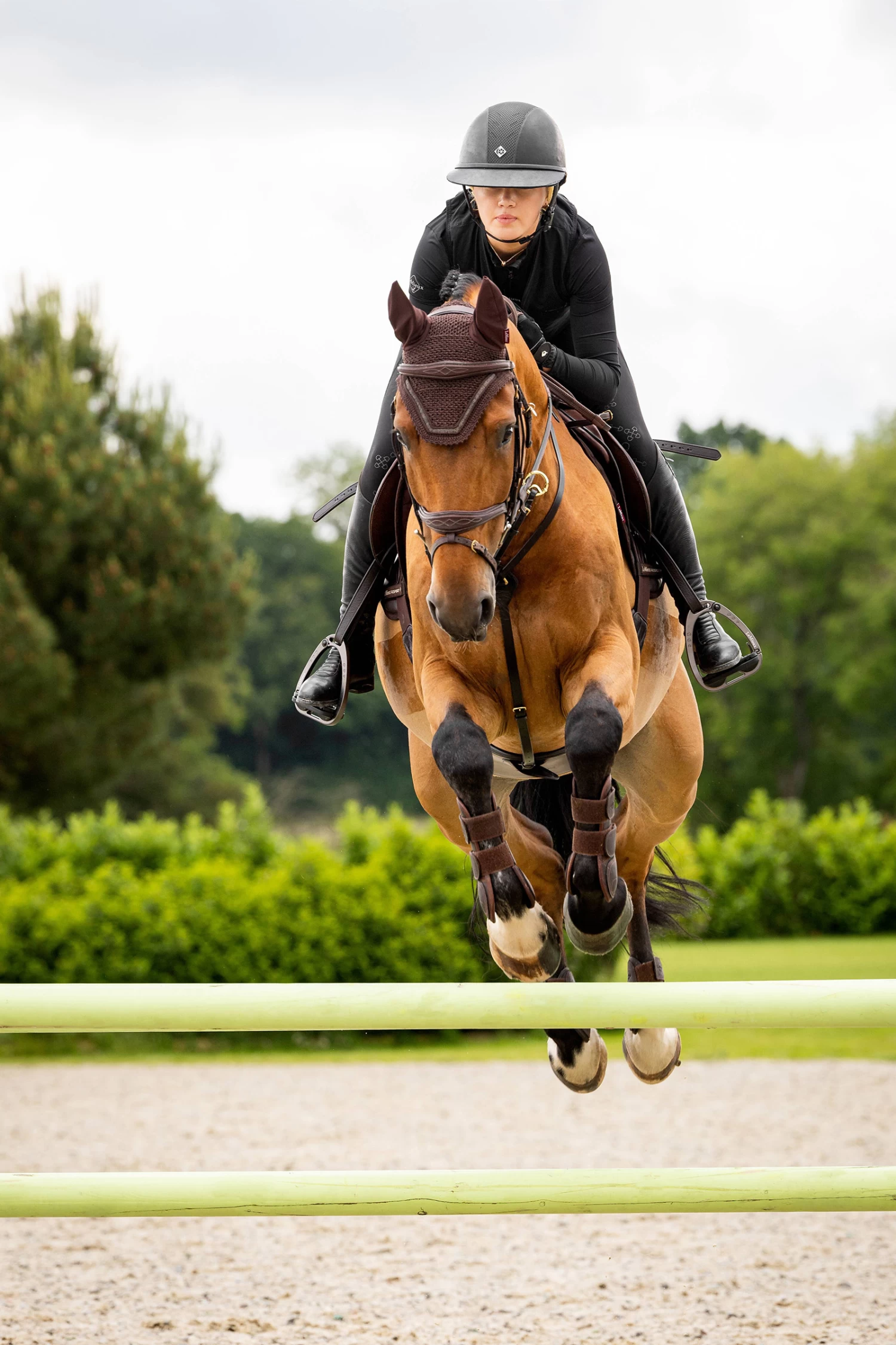 LeMieux Crystal Fliegenhaube 3 LeMieux Crystal Fliegenhaube – Bild 3